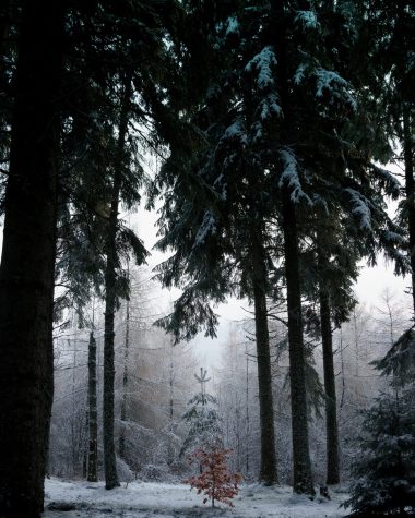 solitude-tiny-1