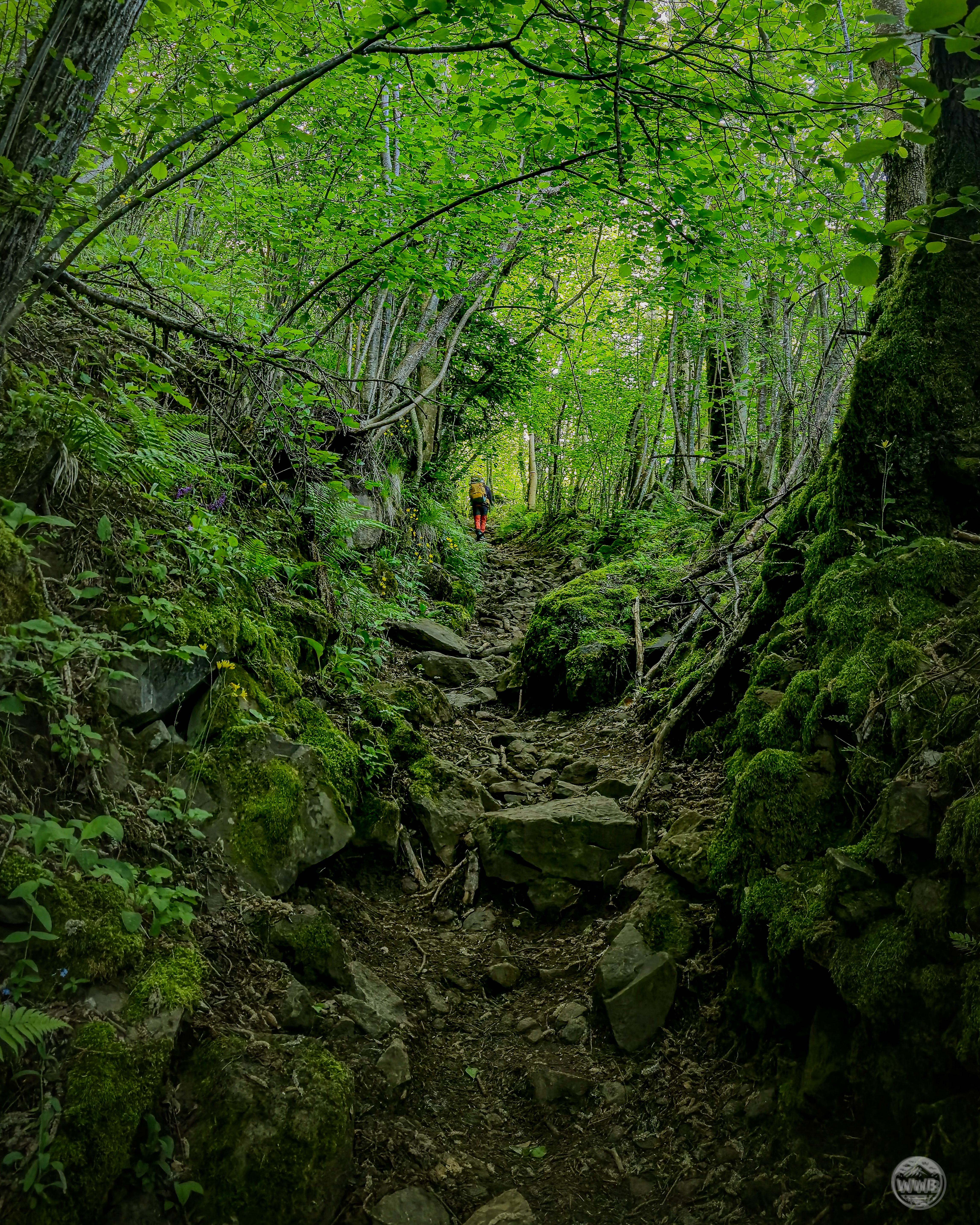 Lumière - photo outdoor World Wild Ben