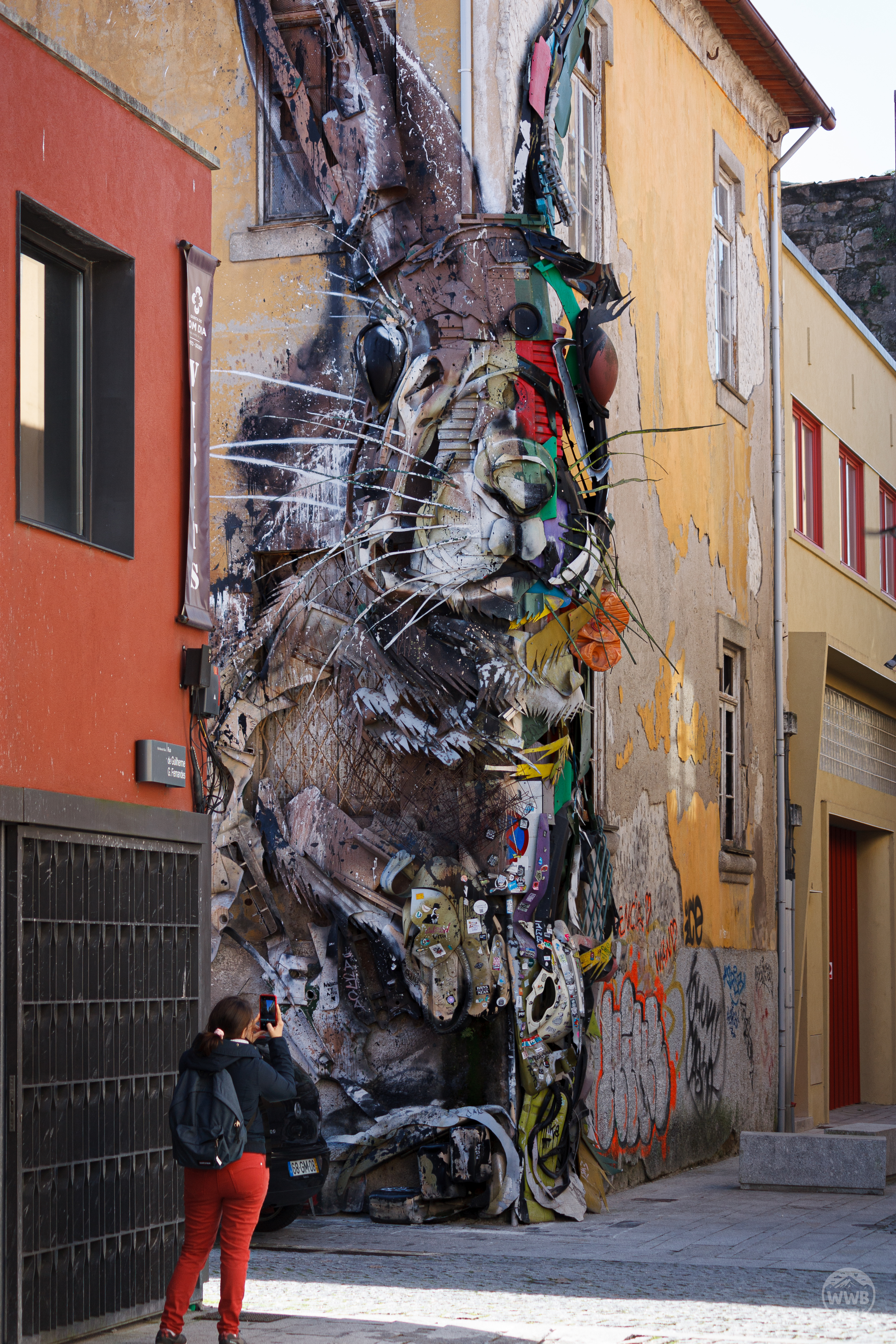Partage - photo outdoor World Wild Ben