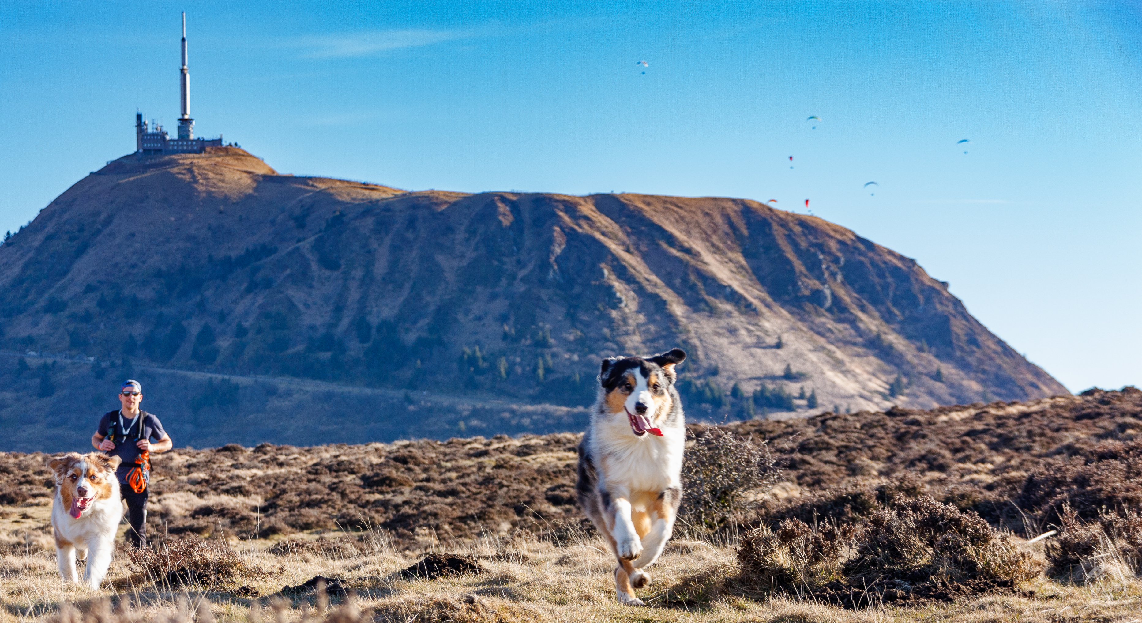 Sauvage - photo outdoor World Wild Ben