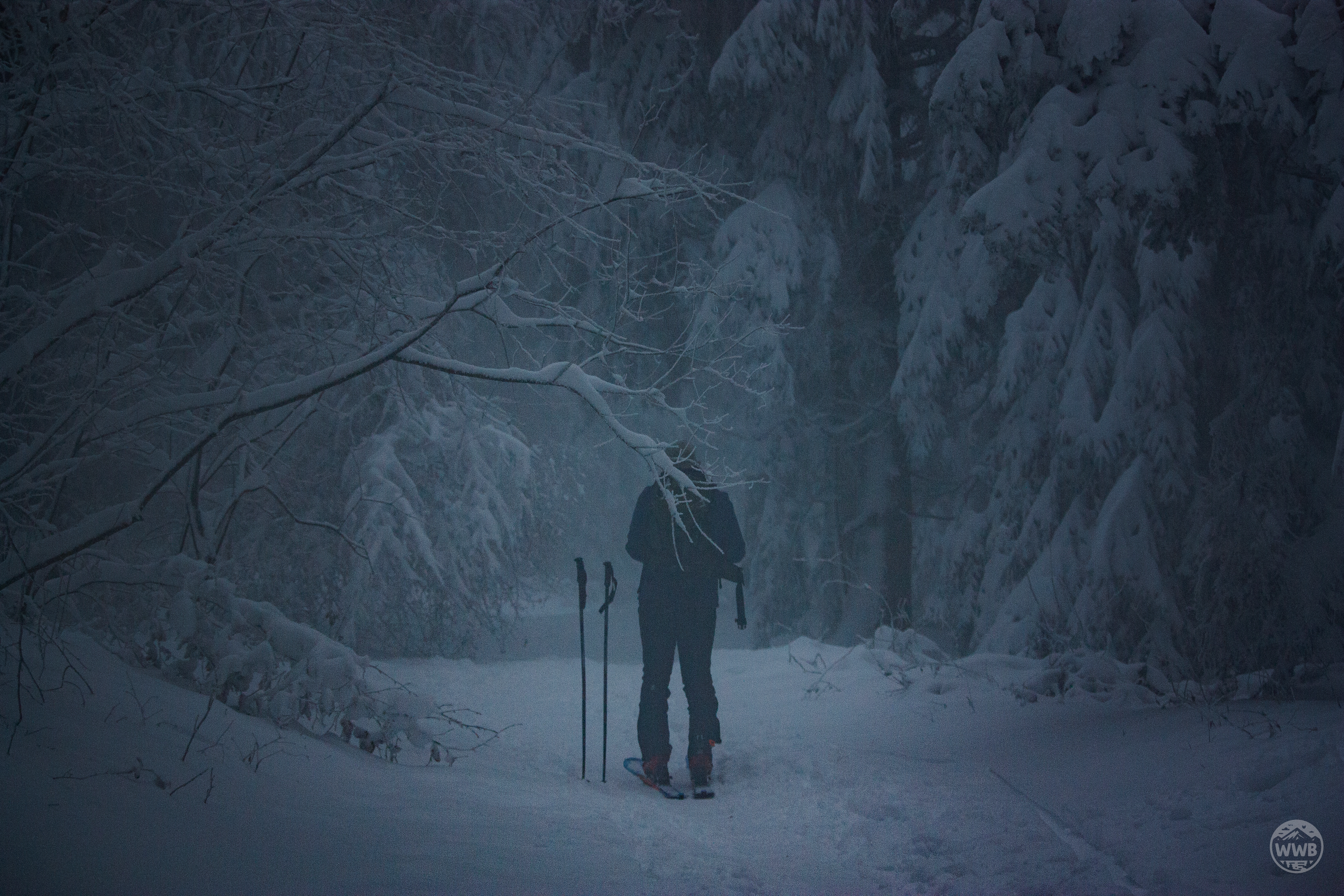 Solitude - photo outdoor World Wild Ben