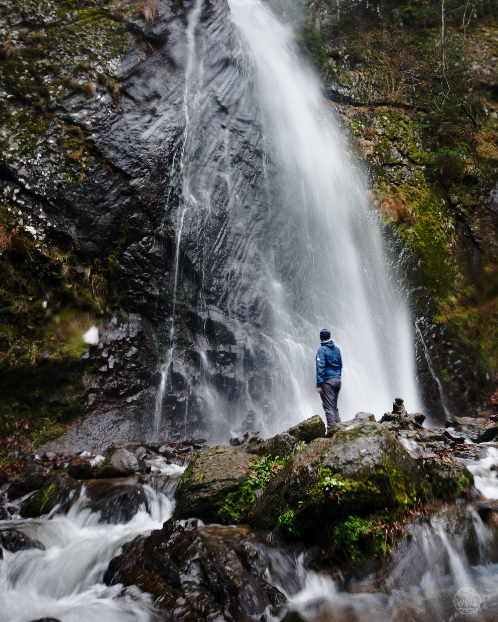 Solitude - photo outdoor World Wild Ben